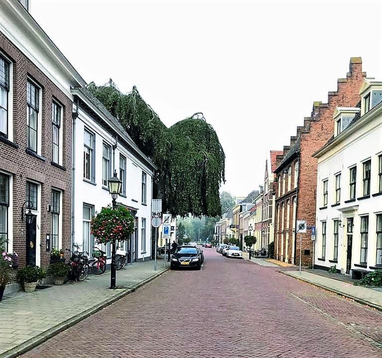 De Buurvrouw Nr.18 Bed & Breakfast Doesburg Bagian luar foto